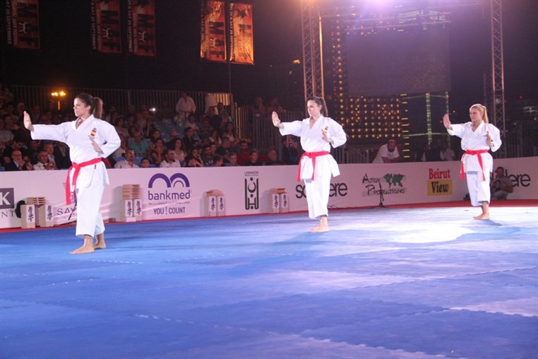 Martial Arts Festival